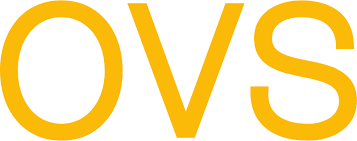 OVS India